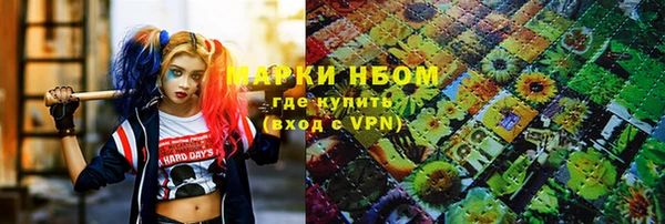 ПСИЛОЦИБИНОВЫЕ ГРИБЫ Строитель