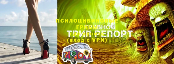 спиды Армянск