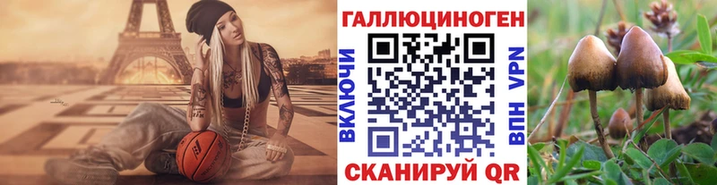 Галлюциногенные грибы Cubensis  Электрогорск 
