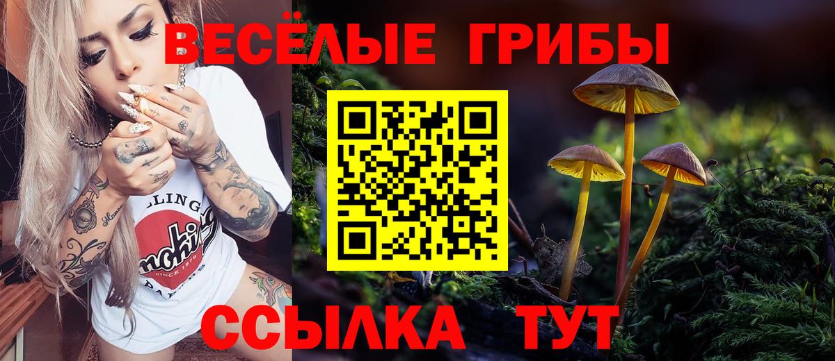купить наркоту  Псилоцибиновые грибы Magic Shrooms  Вход с VPN  Электрогорск 